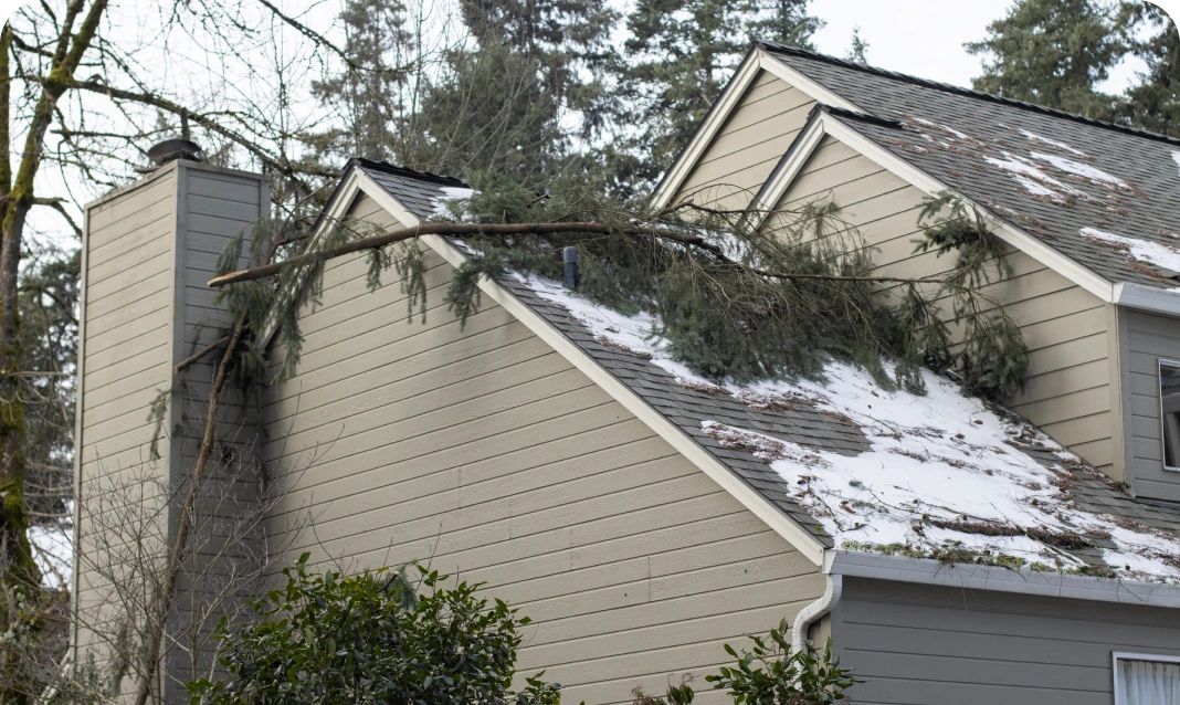 Tree fallen on snow-covered house roof